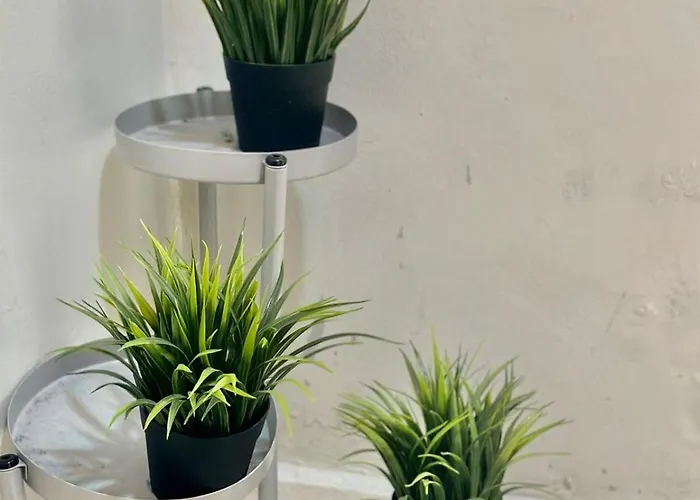 4you بيت شباب Lisboa